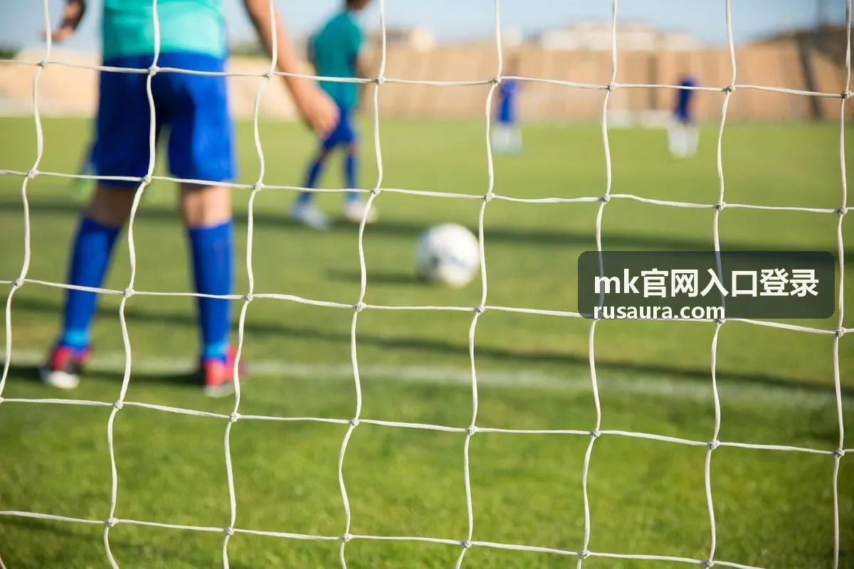 mk官网入口登录 入口确认与账号核对示意