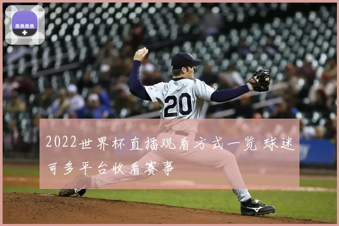 2022世界杯直播观看方式一览 球迷可多平台收看赛事