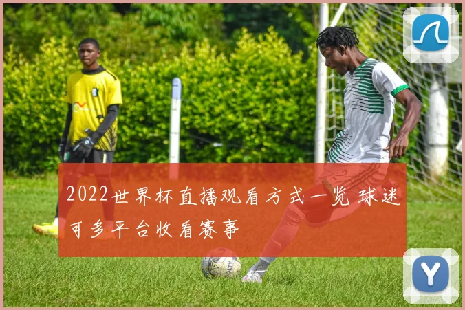 2022世界杯直播观看方式一览 球迷可多平台收看赛事