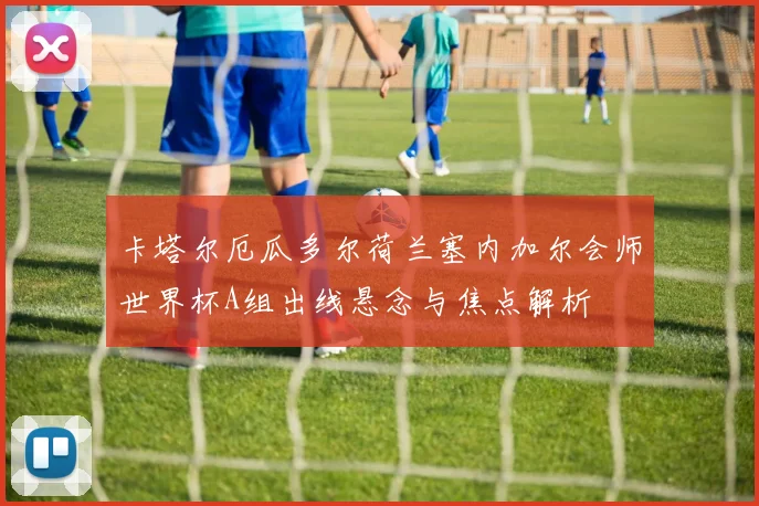 卡塔尔厄瓜多尔荷兰塞内加尔会师世界杯A组出线悬念与焦点解析